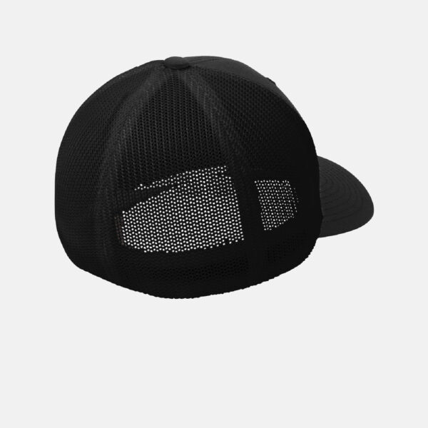 Thurston County Thunderfish Flexfit Hat | View: Back | Color: Black
