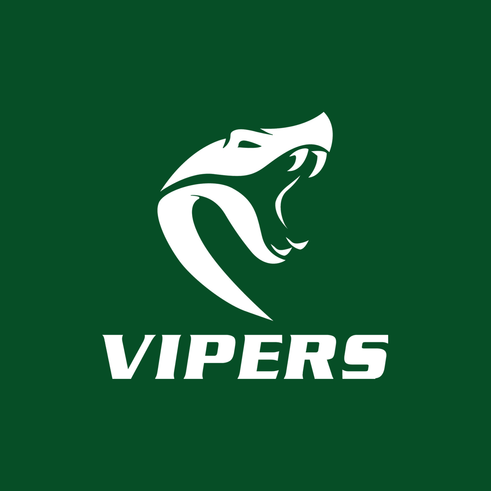 Vipers Soccer Spirit Wear
