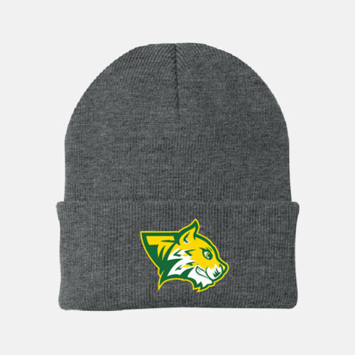 Evergreen Forest Elementary Brim Beanie | View: Front | Color: Heather Gray