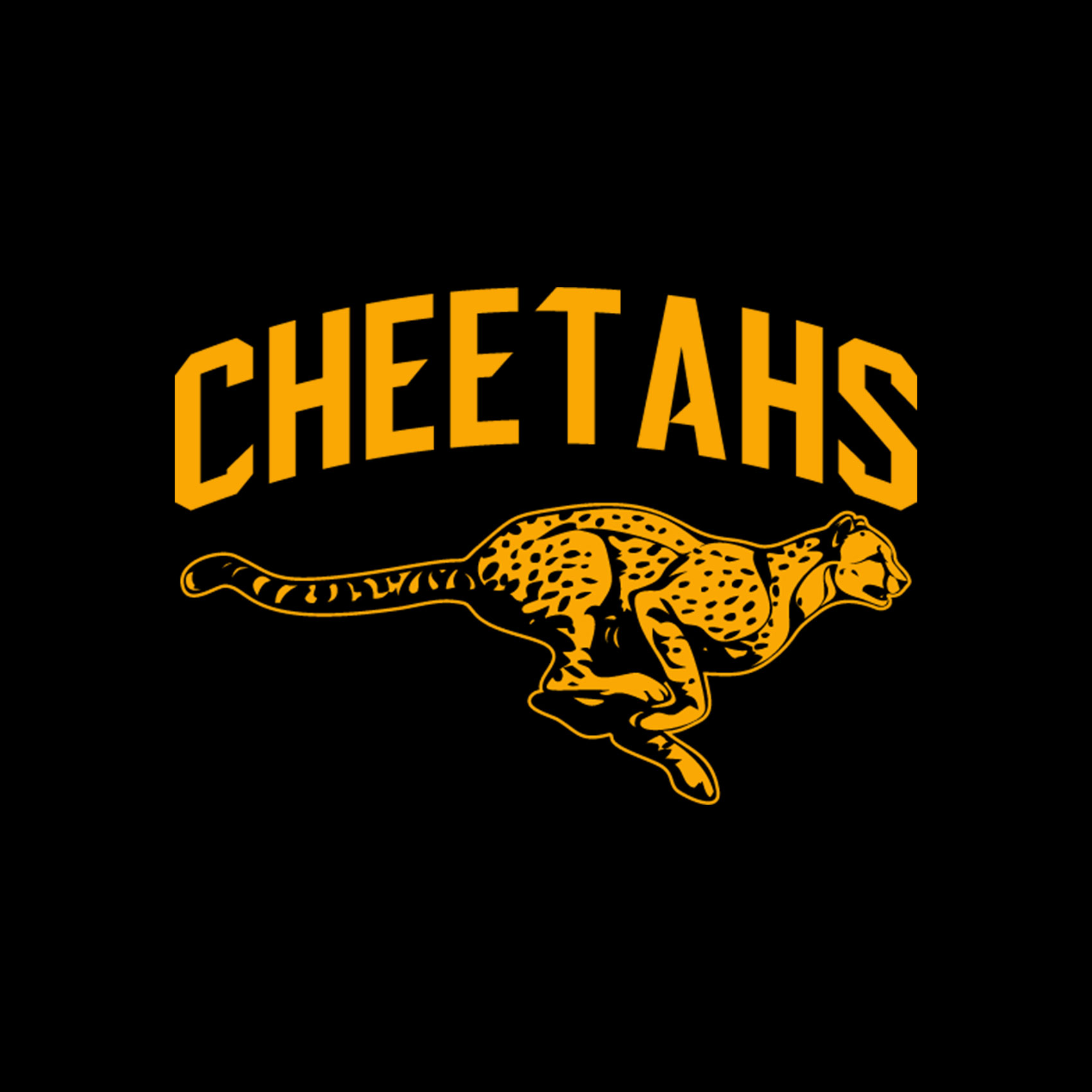 Cheetahs Soccer Spirit Wear